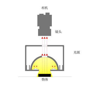 DLM_副本.jpg